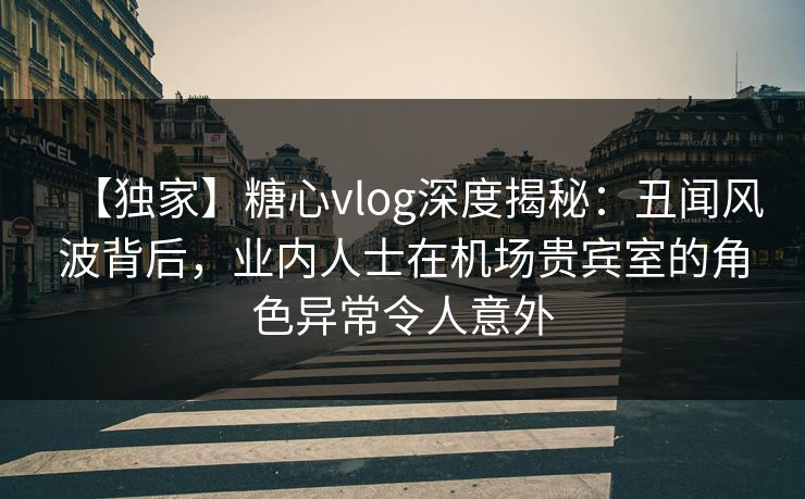 【独家】糖心vlog深度揭秘：丑闻风波背后，业内人士在机场贵宾室的角色异常令人意外