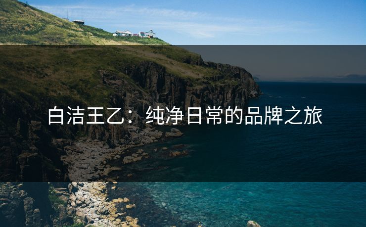 白洁王乙：纯净日常的品牌之旅