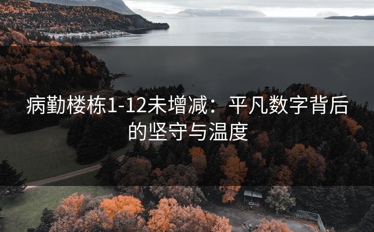 病勤楼栋1-12未增减：平凡数字背后的坚守与温度